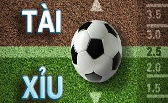 8XBET